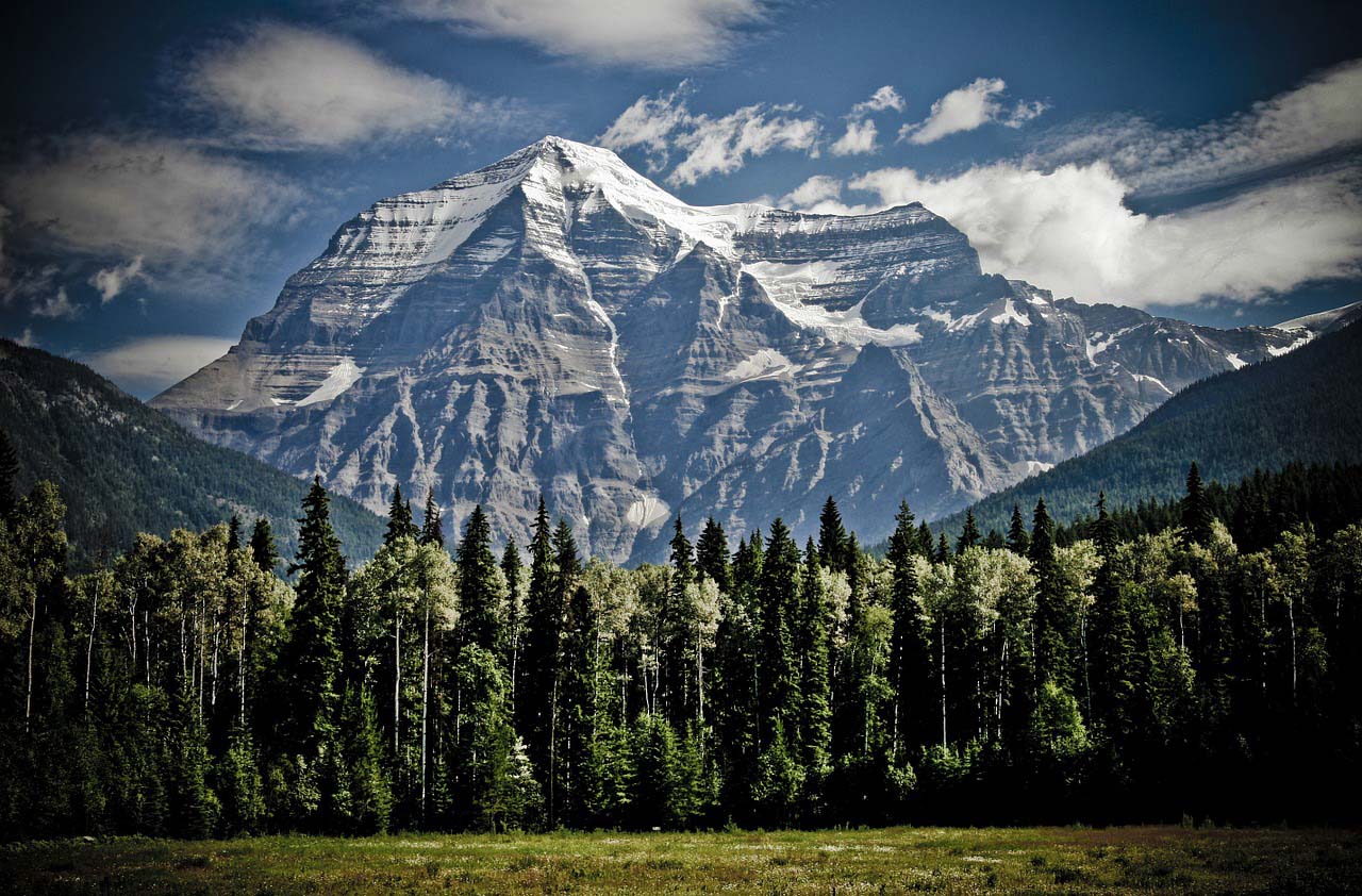 Forest and mountain range