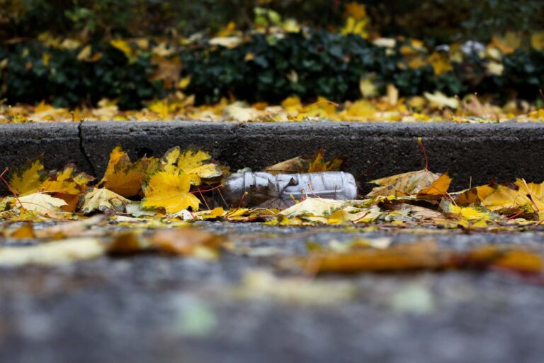 Plastic bottle lying by a street curb