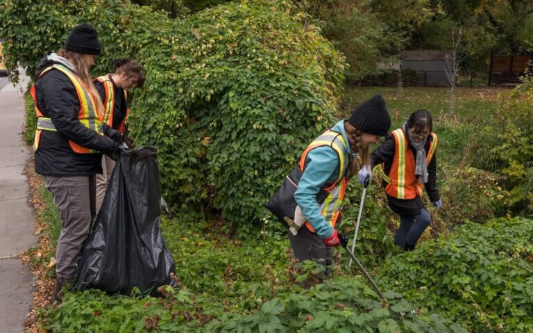 Durabilité environnementale