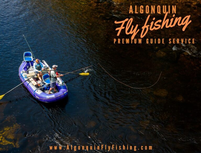 Member Spotlight: Algonquin Fly Fishing Premium Guide Service