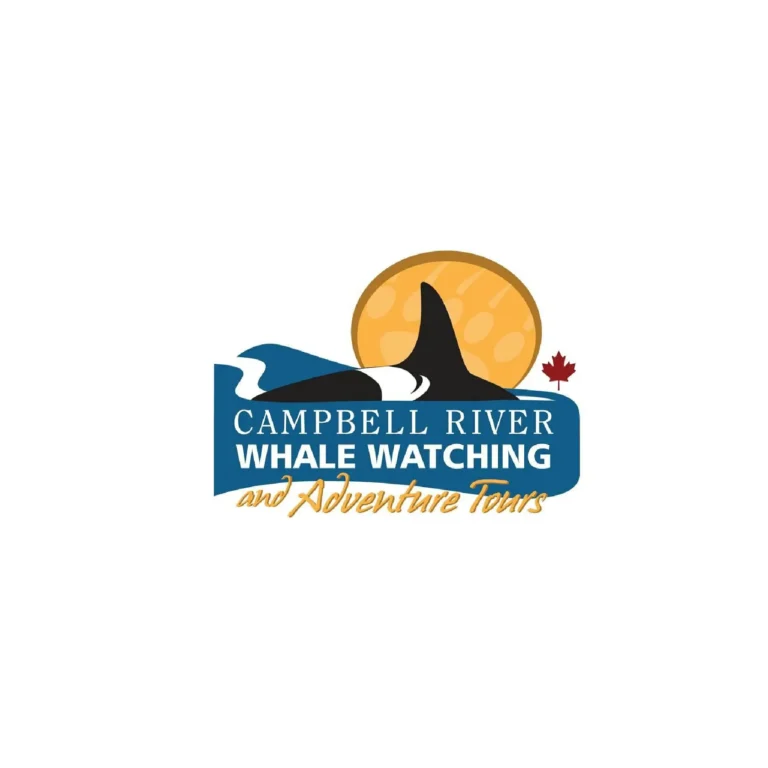 Campbell River Whale Watching Adventure Tours 1 768x768