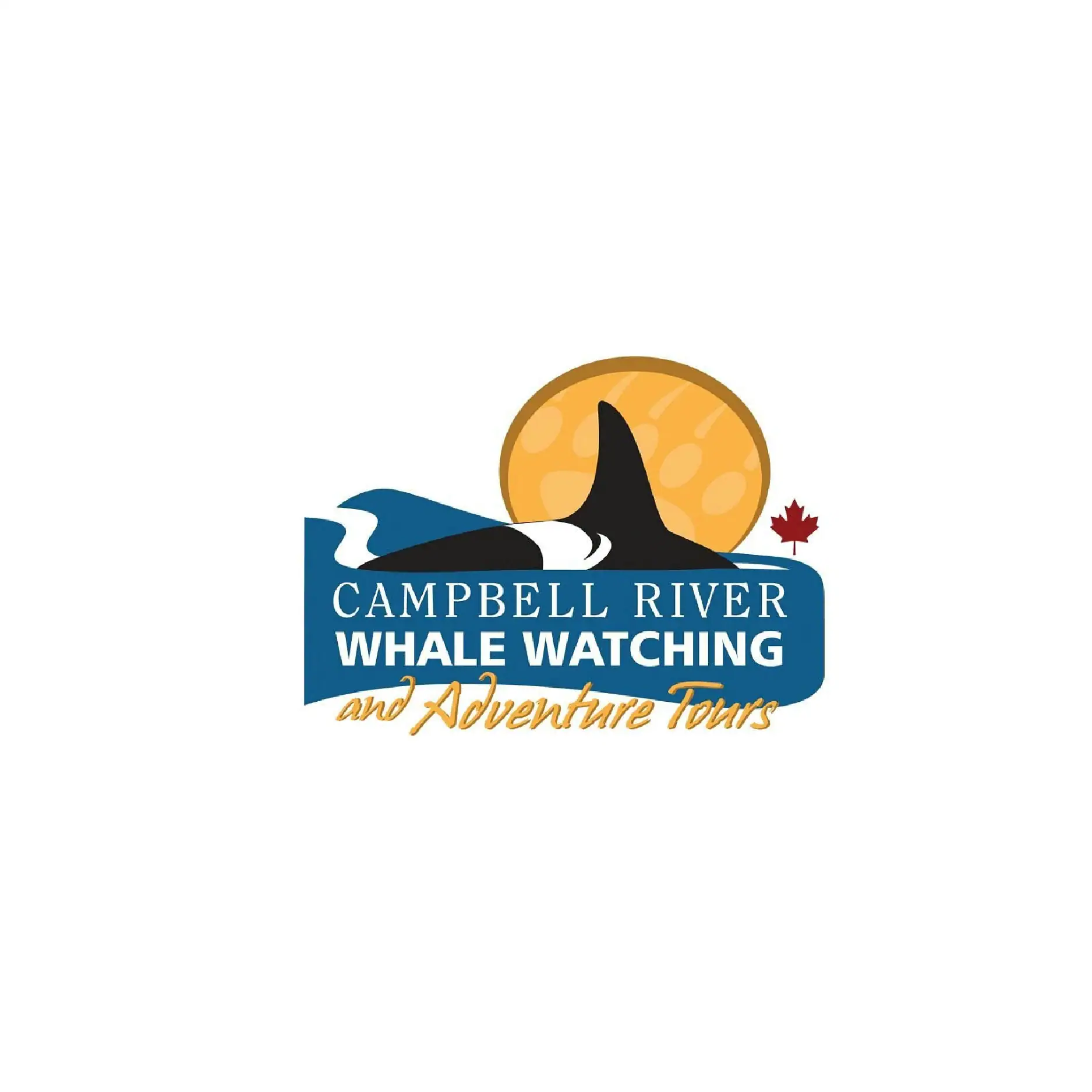 Campbell River Whale Watching Adventure Tours 1